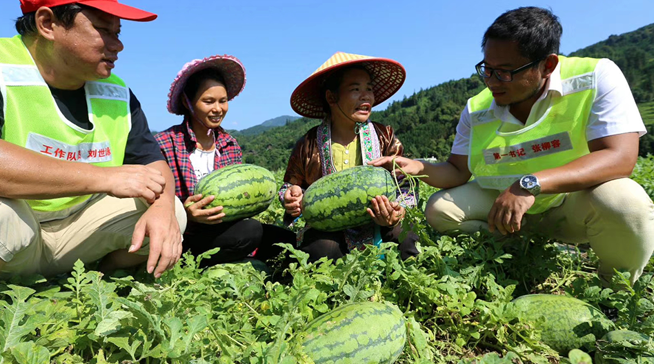 六令彩最快现场直播